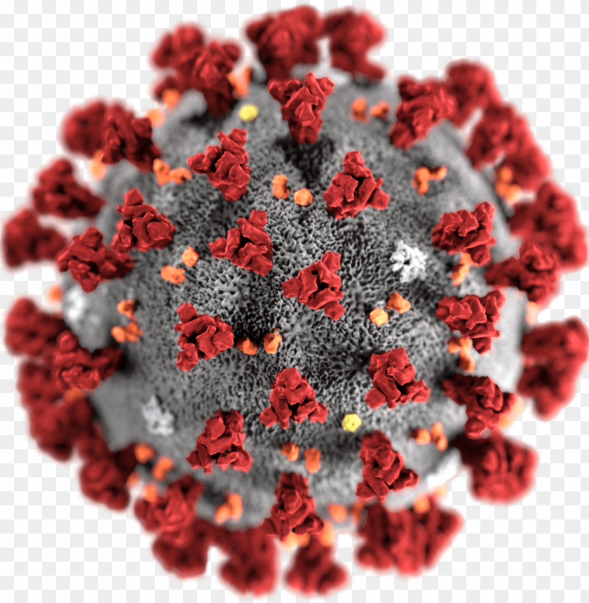 corona virus PNG transparent with Clear Background ID 471404