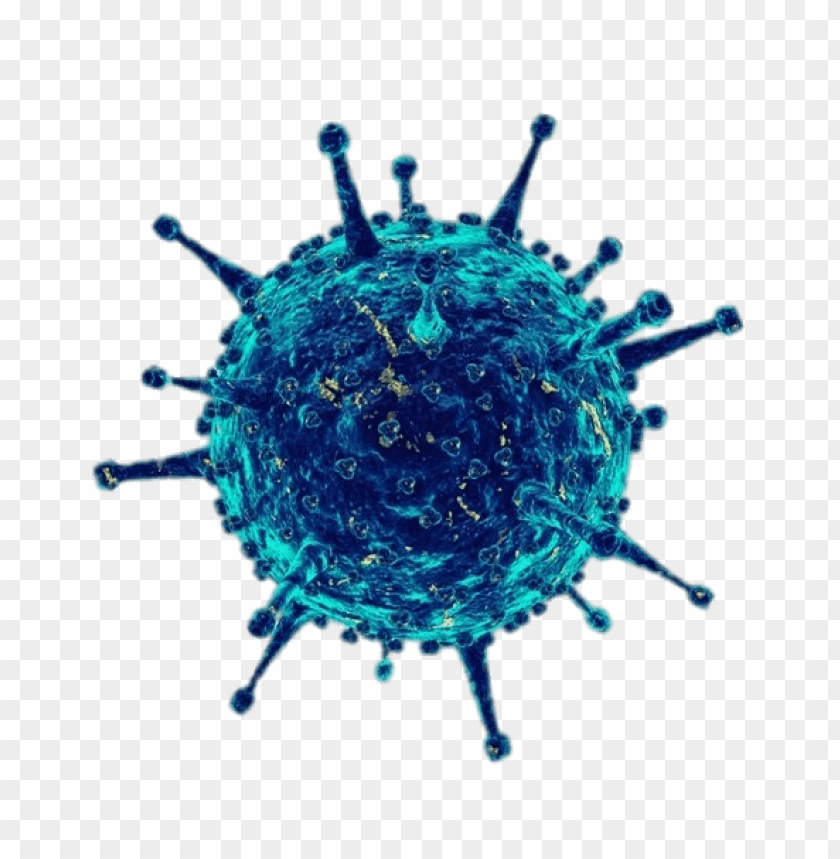 Coronavirus covid-19 PNG image with transparent background ...