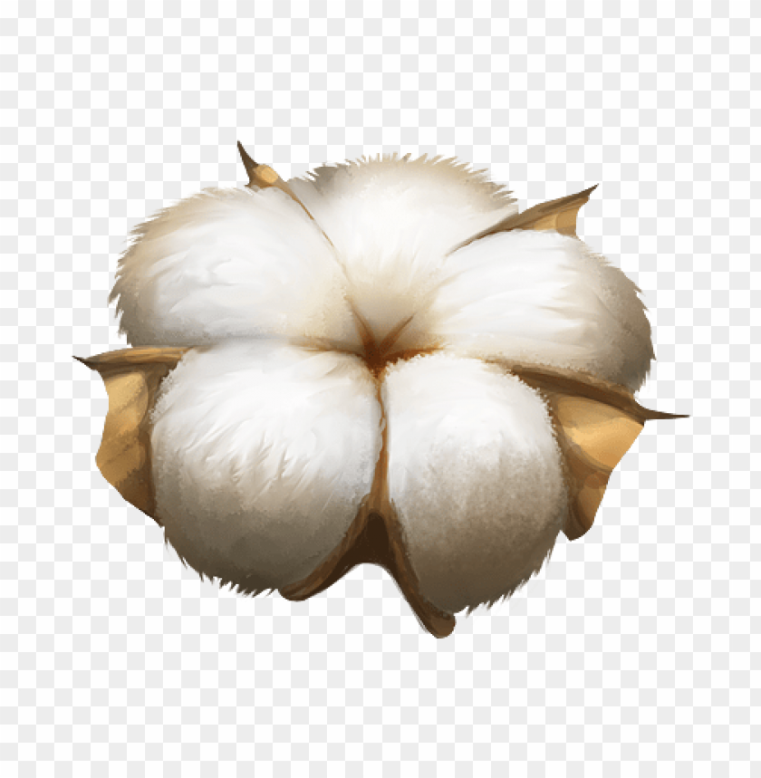 cotton, settle in, dwelling, super,قطن,نسيج