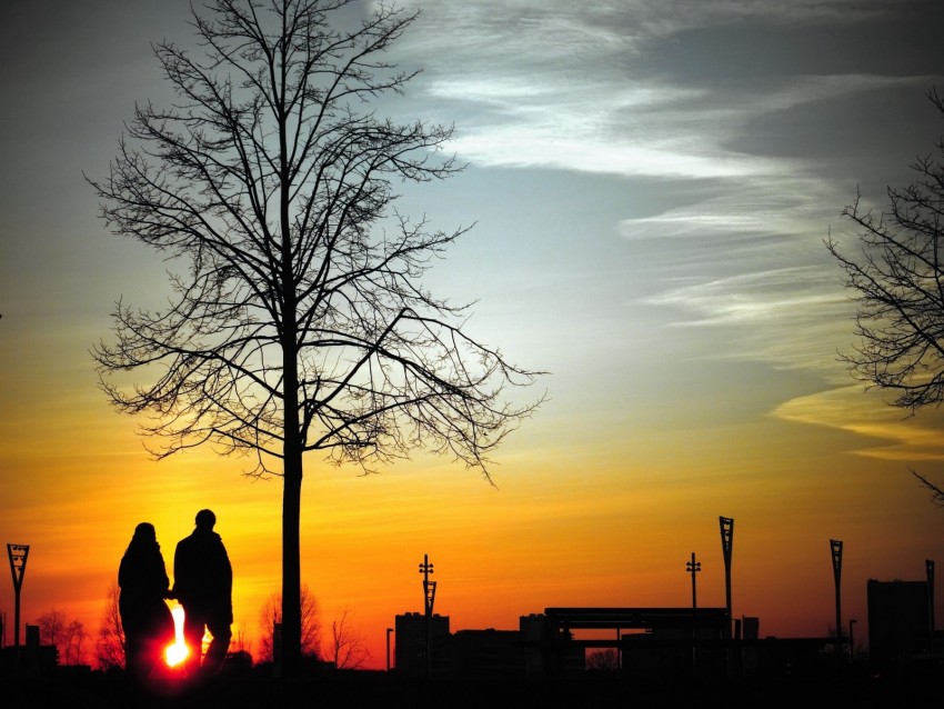couple, silhouettes, sunset, walk, tree