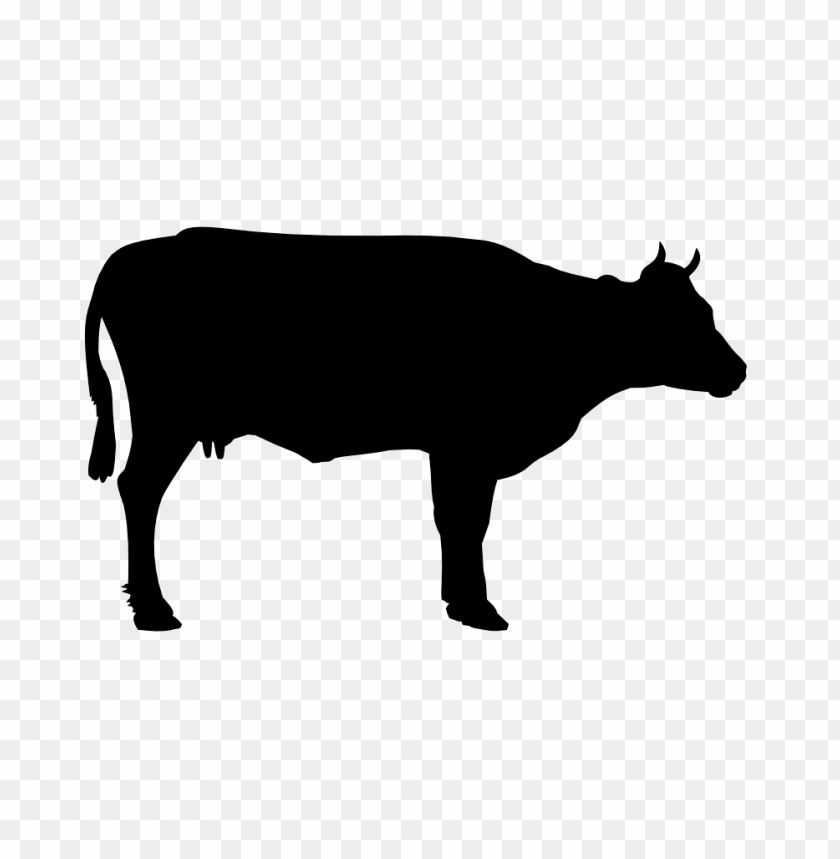 Cow Png Images Background - Image ID 1594 | TOPpng