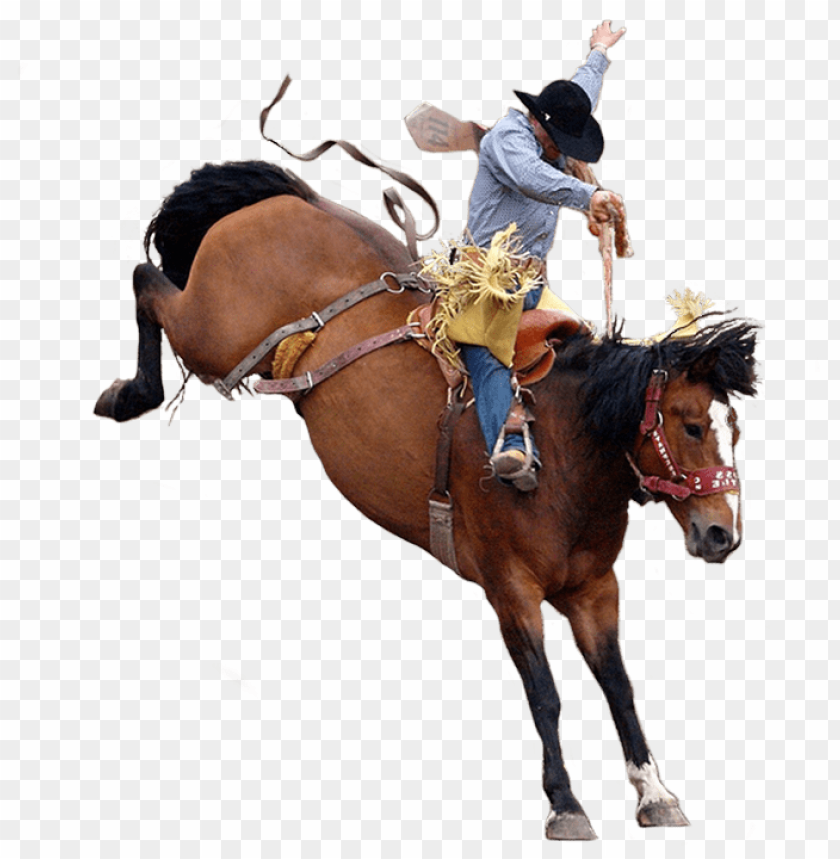 
cowboy
, 
animal herder
, 
horseback
, 
wrangler
, 
cowboy silhouette
