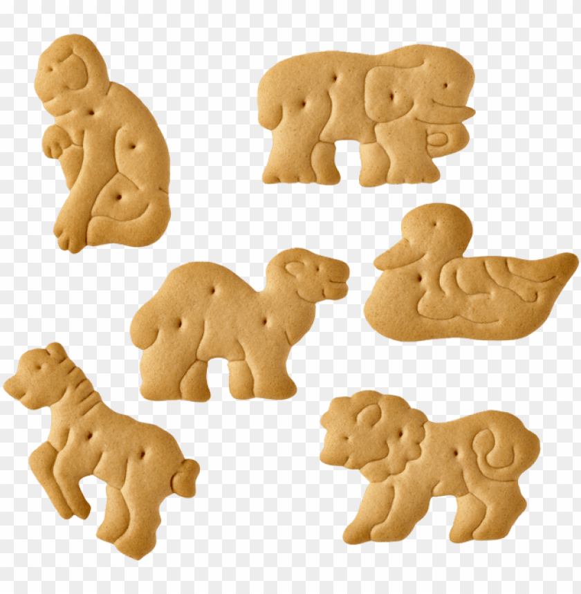 cracker clipart animal cracker - animal crackers clipart PNG image with  transparent background | TOPpng
