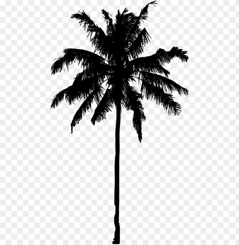 crayon drawing palm tree palm trees silhouette PNG transparent with Clear Background ID 206250