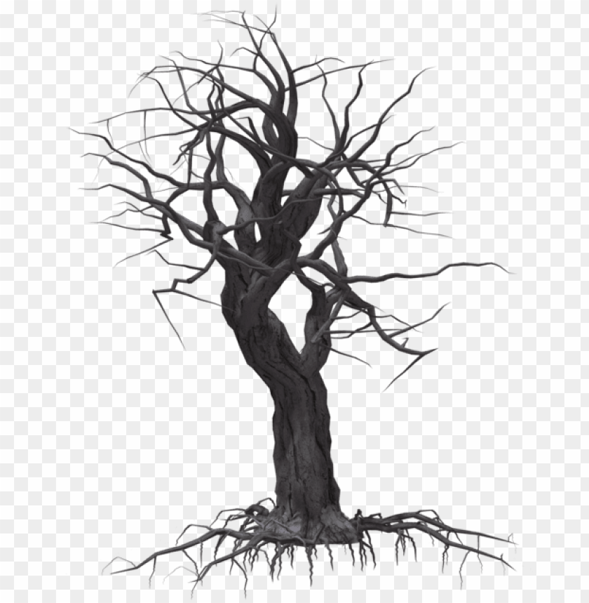free PNG creepy tree 05 by wolverine041269 on clipart library - creepy tree transparent PNG image with transparent background PNG images transparent