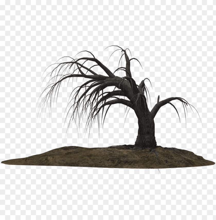 Creepy Tree 19 By Wolverine041269 On Clipart Library Dead Trees