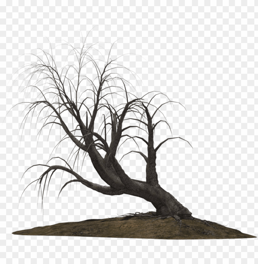 free PNG creepy trees PNG image with transparent background PNG images transparent