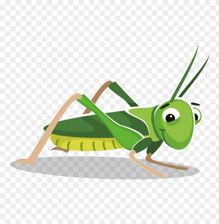 Download Cricket Insect Clipart Png Images Background Toppng