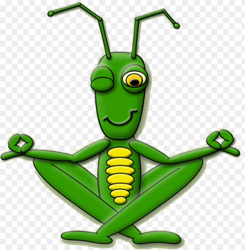 Download Cricket Insect Clipart Png Images Background Toppng