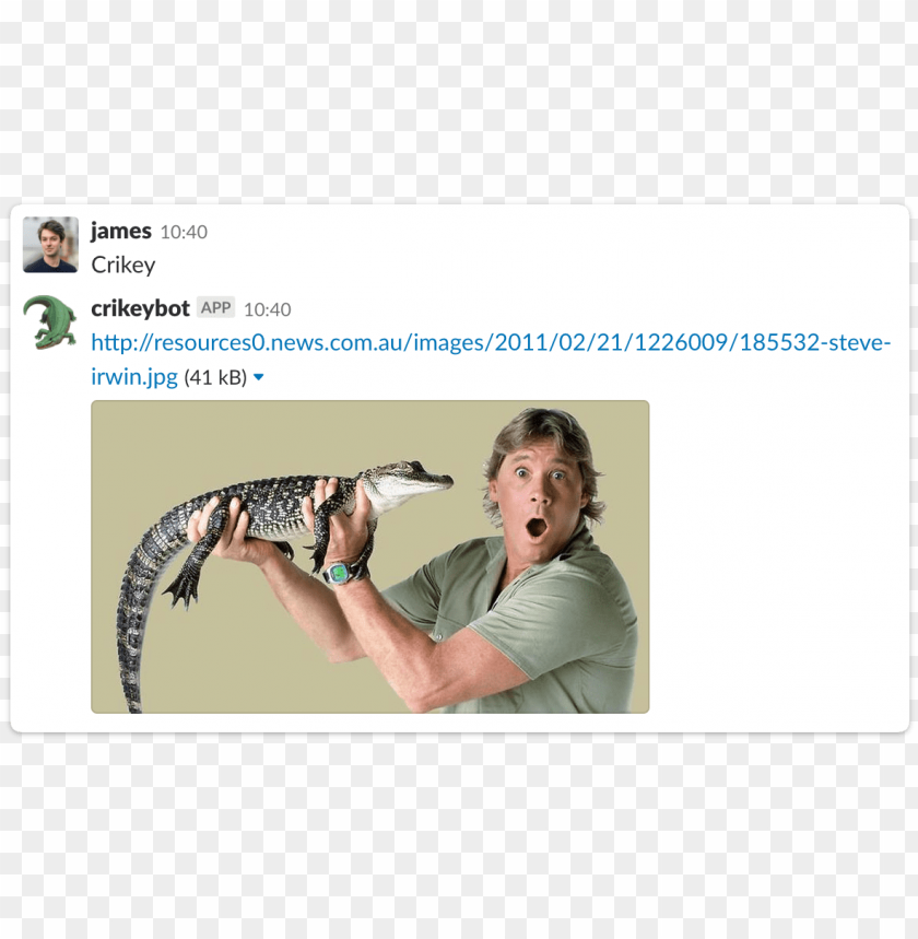 crikey slack integration steve irwin crocodile hunter costume PNG transparent with Clear Background ID 243253