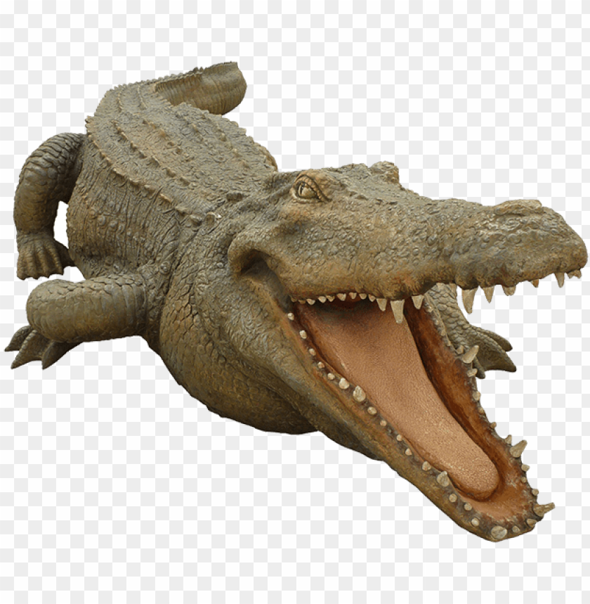 Crocodile Free Png Transparent Background Images Free Philippine