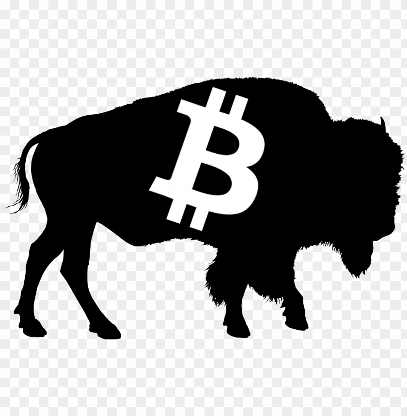 bitcoin, design, wild, male, bit, people, animal