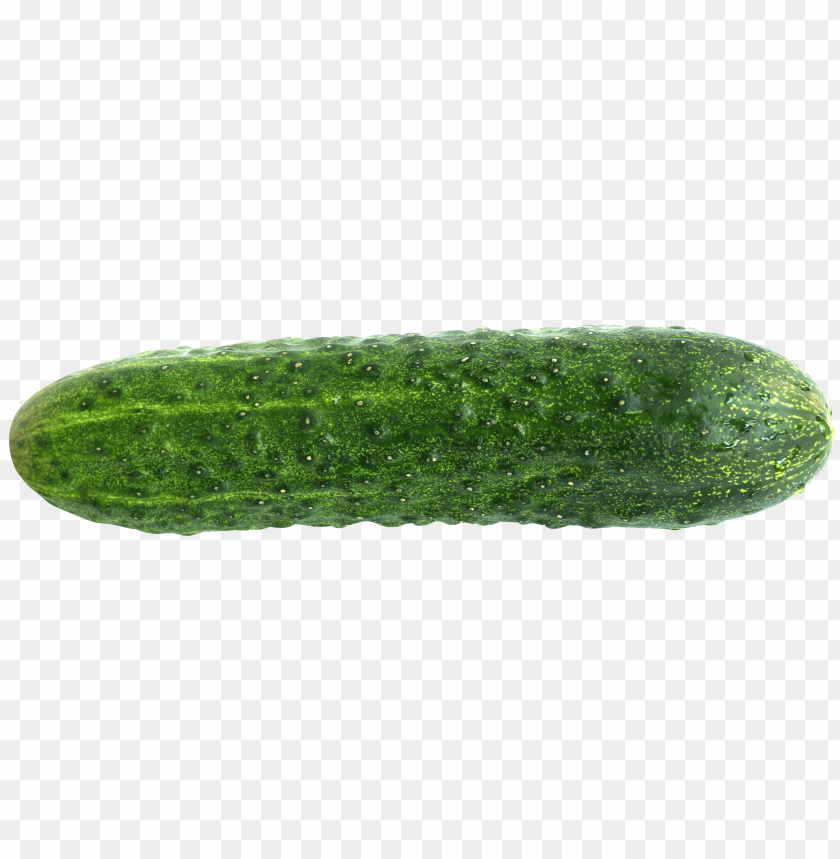 Download cucumber png images background@toppng.com