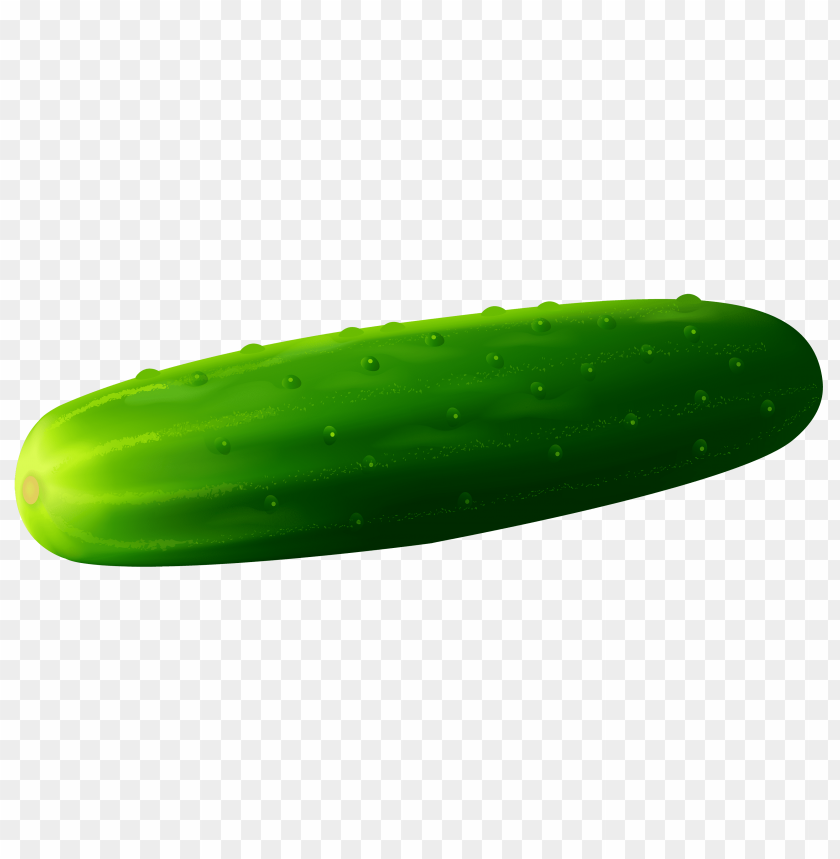 
cucumber
, 
food
, 
vegetable
, 
green cucumber
