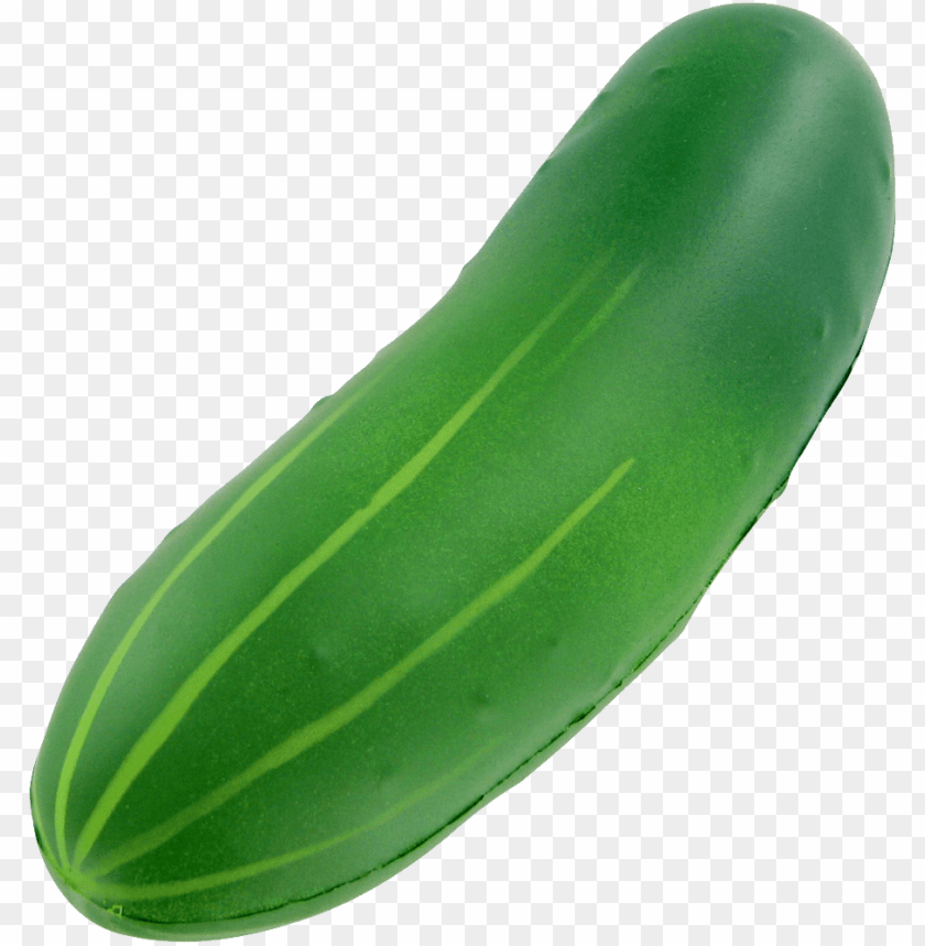 Featured image of post Clipart Cucumber Slice Png When designing a new logo you can be inspired by the visual logos found here