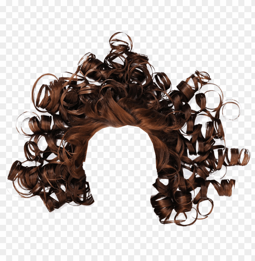 Curly Brown Hair Png Image With Transparent Background Toppng - short wavy hair brown roblox