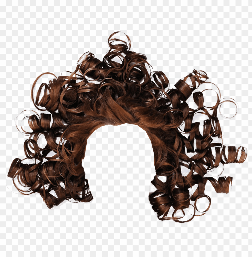 Curly Brown Hair Png Image With Transparent Background Toppng - curly galaxy hair extensions transparent roblox