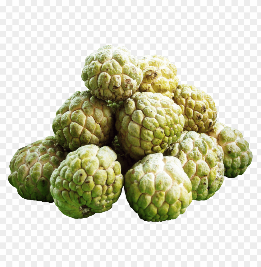 Custard Apples PNG Images With Transparent Backgrounds - Image ID 13250