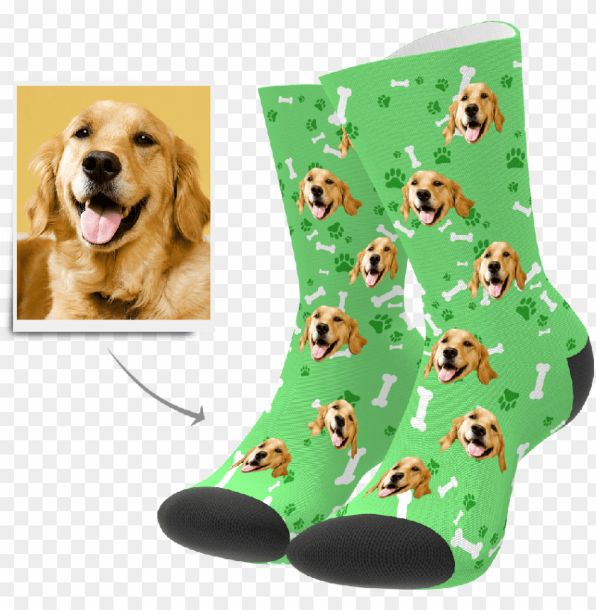 free PNG custom dog socks put any face on socks myphotosocks - toe socks with dog faces PNG image with transparent background PNG images transparent