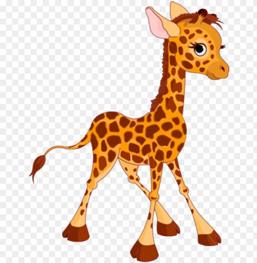 cute baby giraffe cartoon