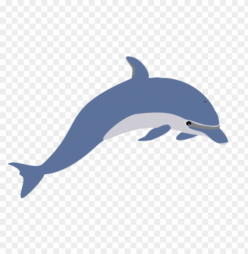 
dolphin
, 
water
, 
sea
, 
swimming
, 
fast
, 
cute
