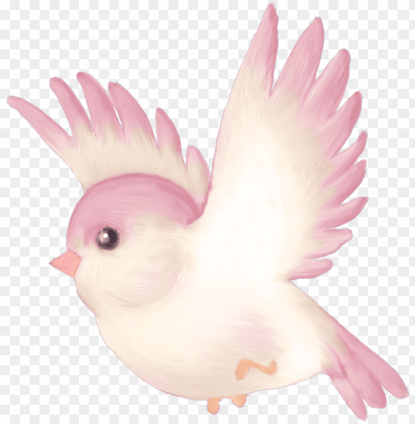 cute pink birdies