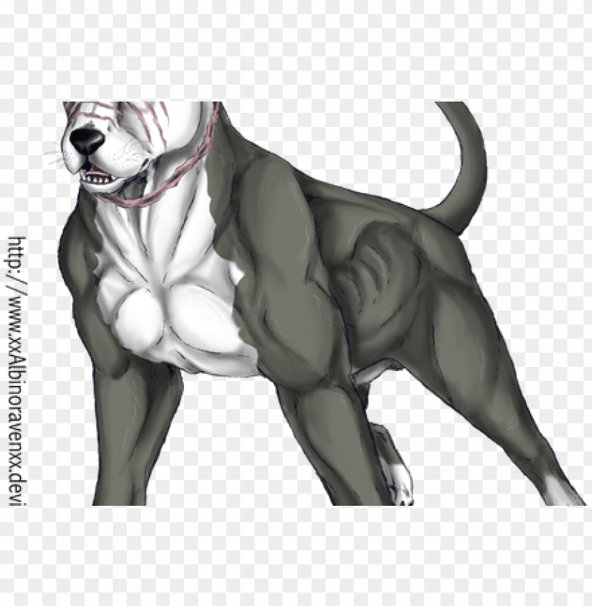 How to Draw a Pit bull Dog (Dogs) Step by Step | DrawingTutorials101.com
