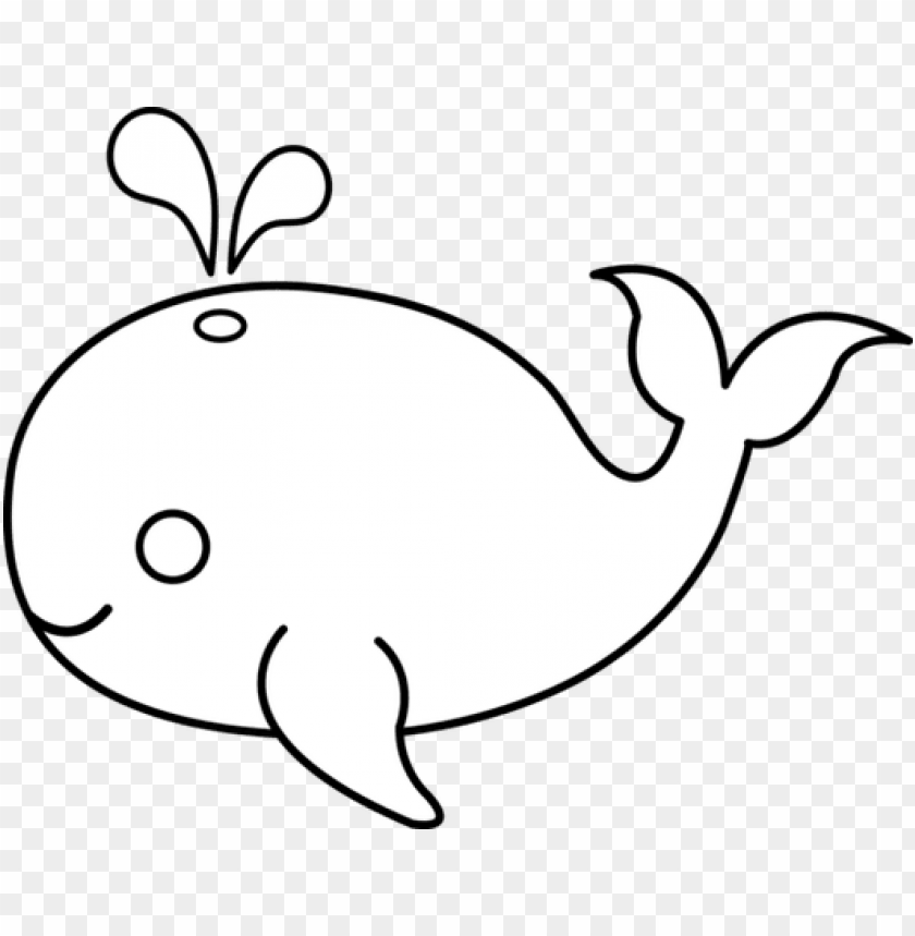 Cute Whale Drawing Cute Whale Drawing Management Science - Animals Easy To Draw Outline PNG Transparent With Clear Background ID 182738