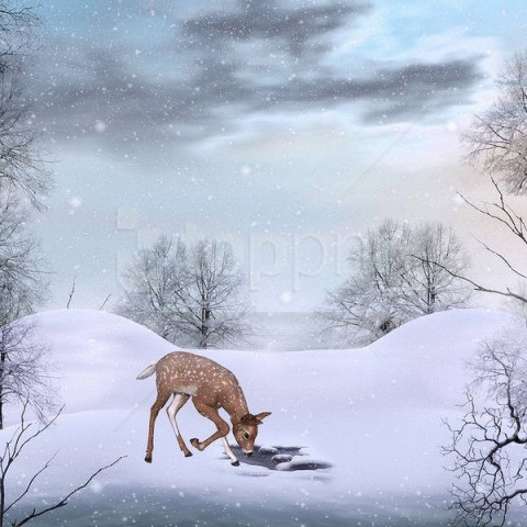 cute winterwith deer background best stock photos - Image ID 59216