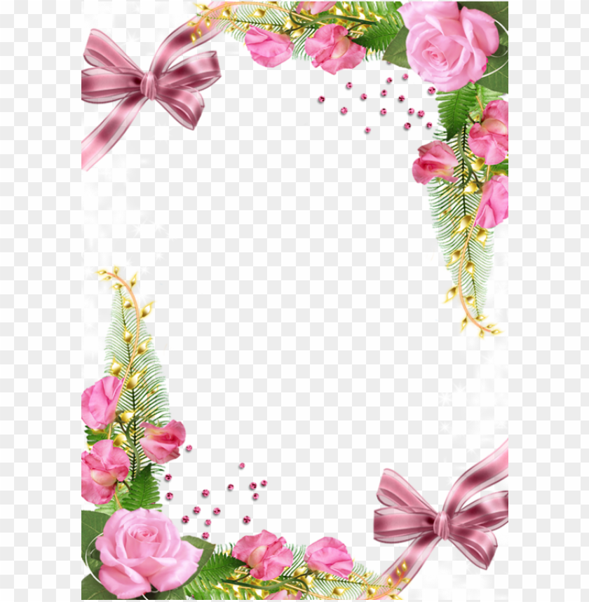 cuteframe with pink roses background best stock photos - Image ID 57946