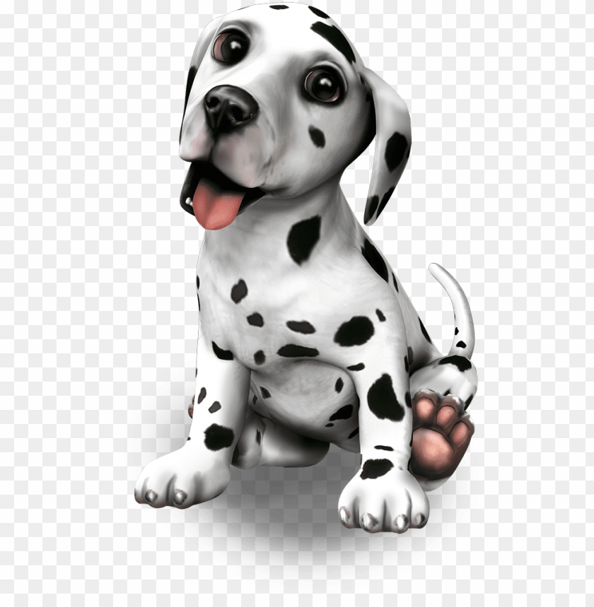 dance, dog, card, cute, dice, dalmatian, invitation