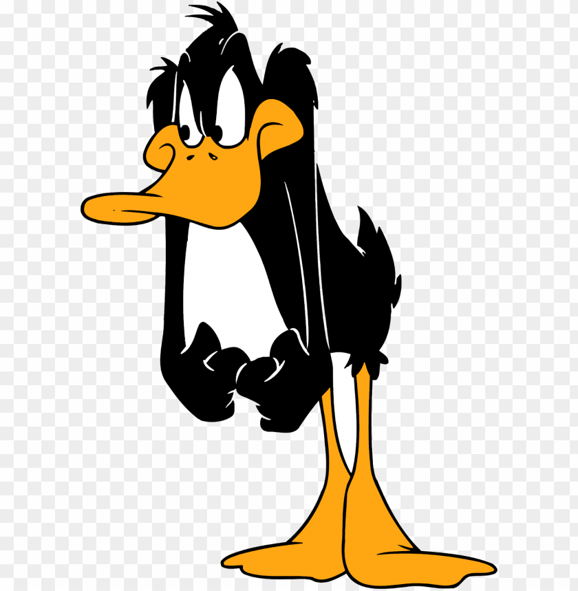 daffy duck cartoon character, daffy duck characters, - looney tunes daffy duck PNG image with transparent background@toppng.com
