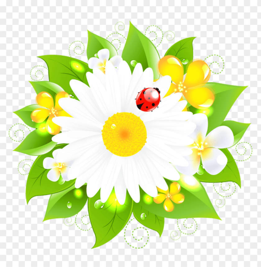flowers png, spring png, flower png, white flower