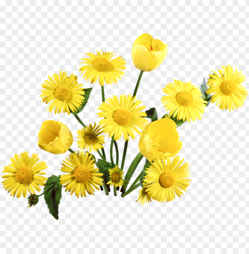 
dandelion
, 
bloom
, 
daisy
, 
dahlia
