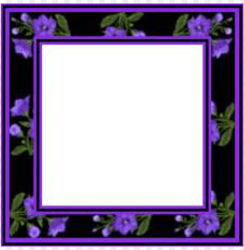dark purple borders