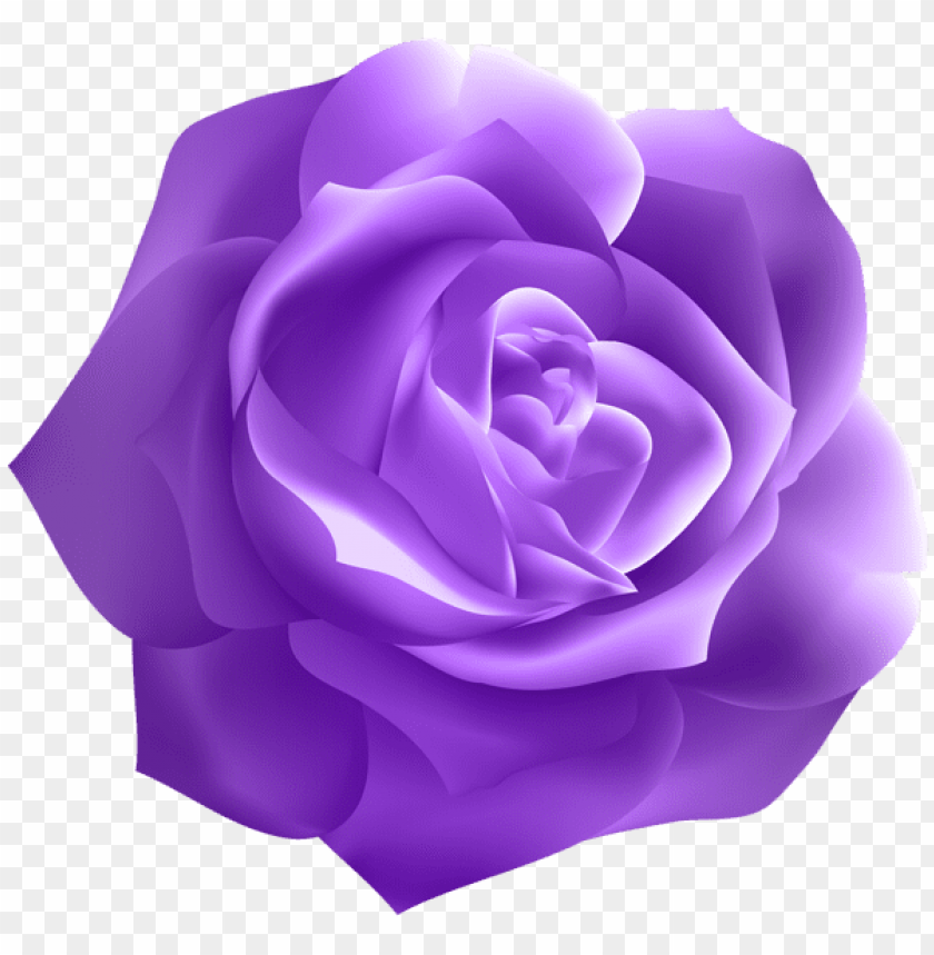 PNG image of dark purple rose deco with a clear background - Image ID 44809