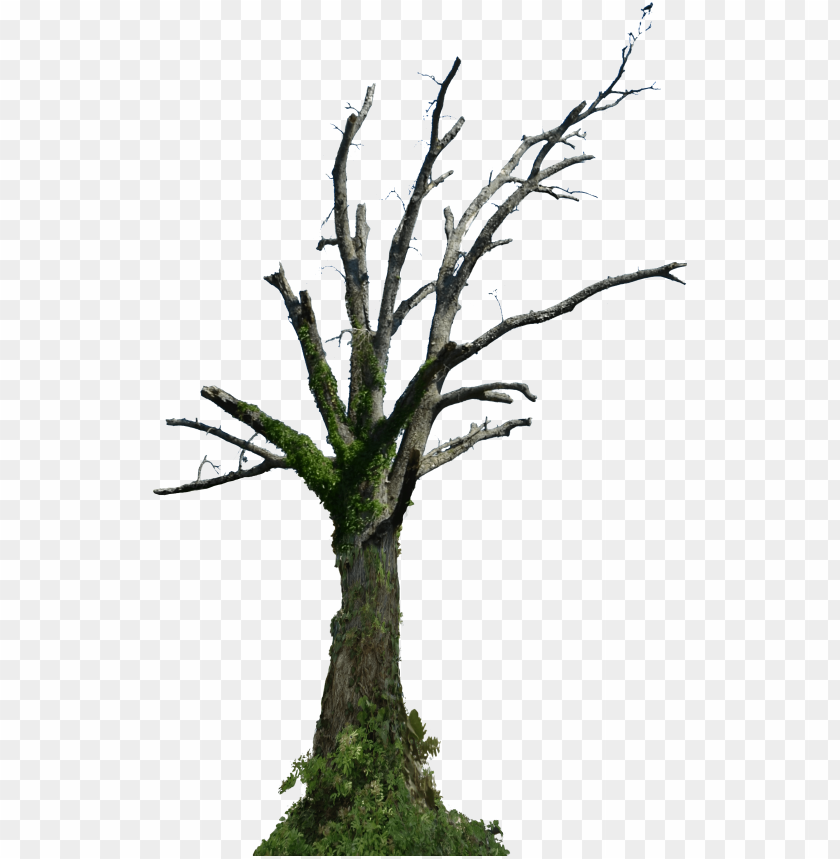 Dead Tree Png Hd PNG Image With Transparent Background