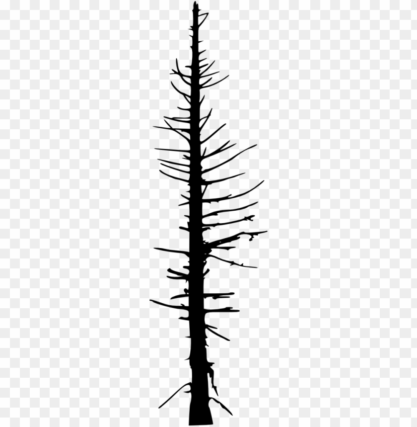 silhouette png,silhouette png image,dead tree png file,silhouette transparent background,silhouette images png,silhouette images clip art,silhouette images hd