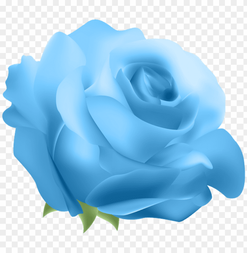 deco rose blue png