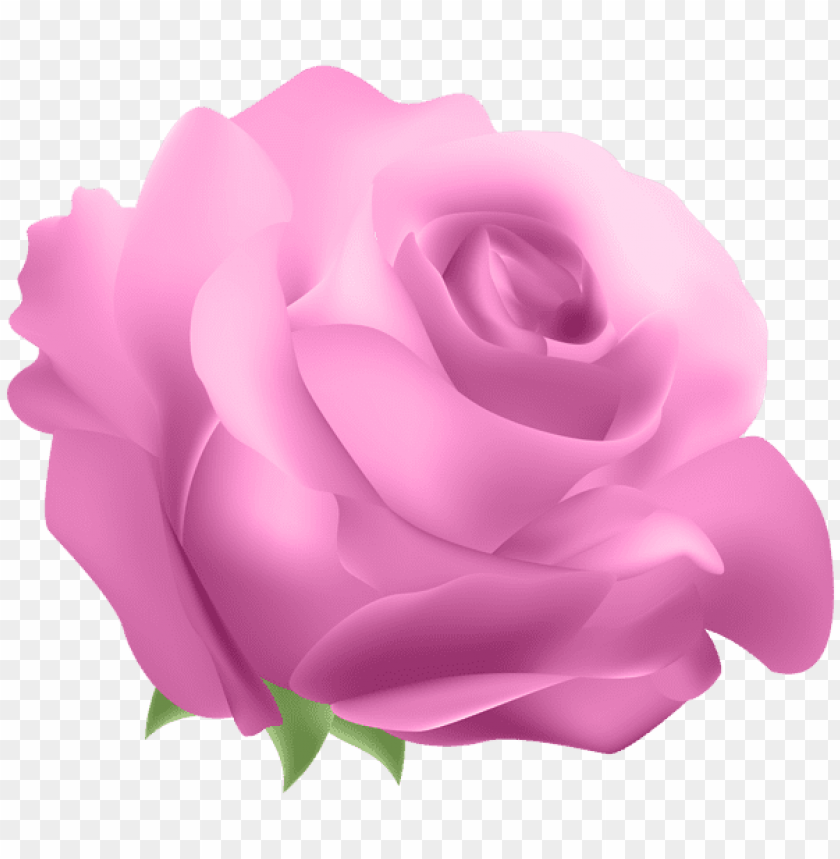 deco rose pink png