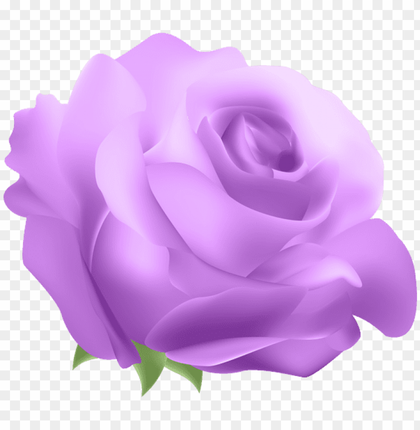 deco rose purple png