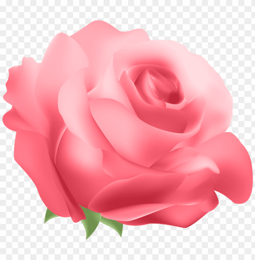 deco rose red png
