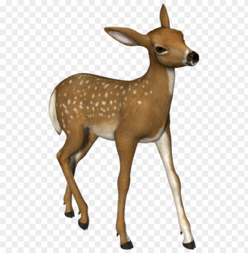 deer png images background - Image ID 1741