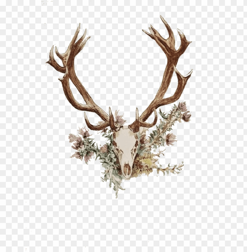 What would you do to fix this terrible tattoo? I would like to keep the  antlers. : r/tattooadvice
