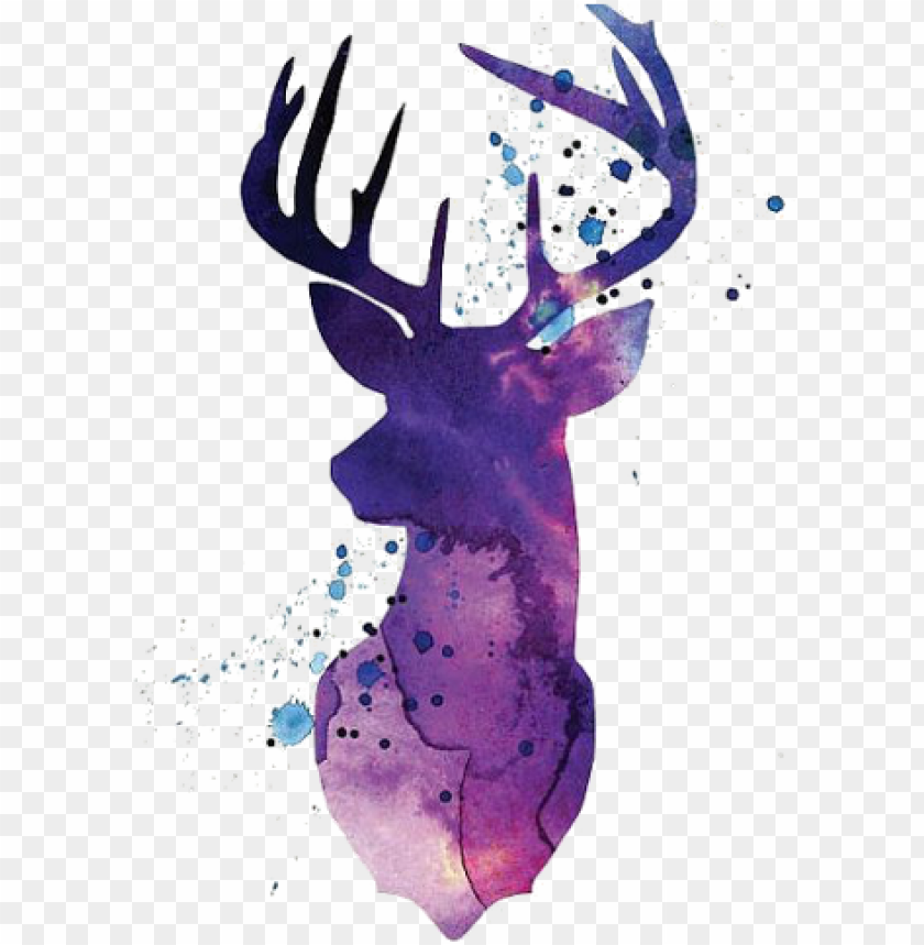 deer head, illustration, animal, food, nature, graphic, wild