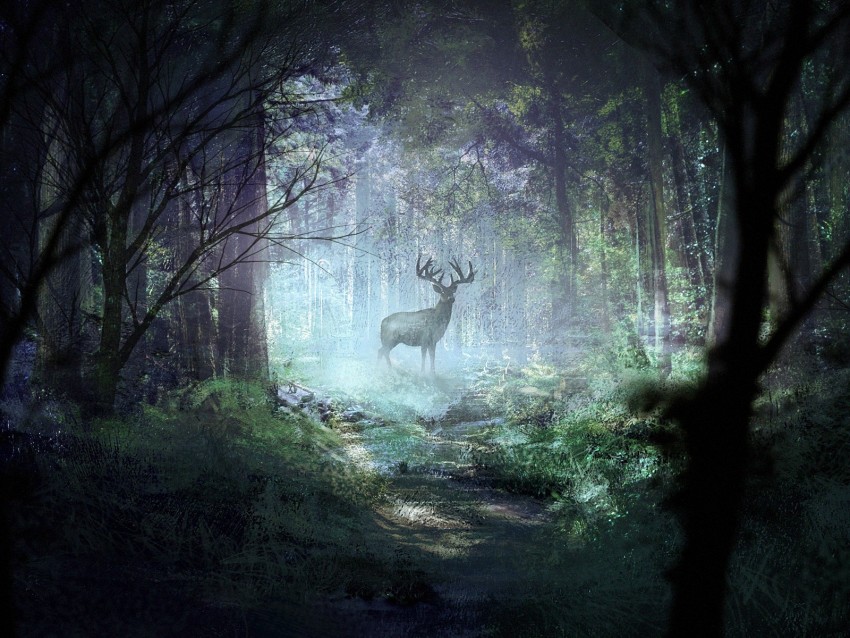 deer, forest, light, art, wildlife