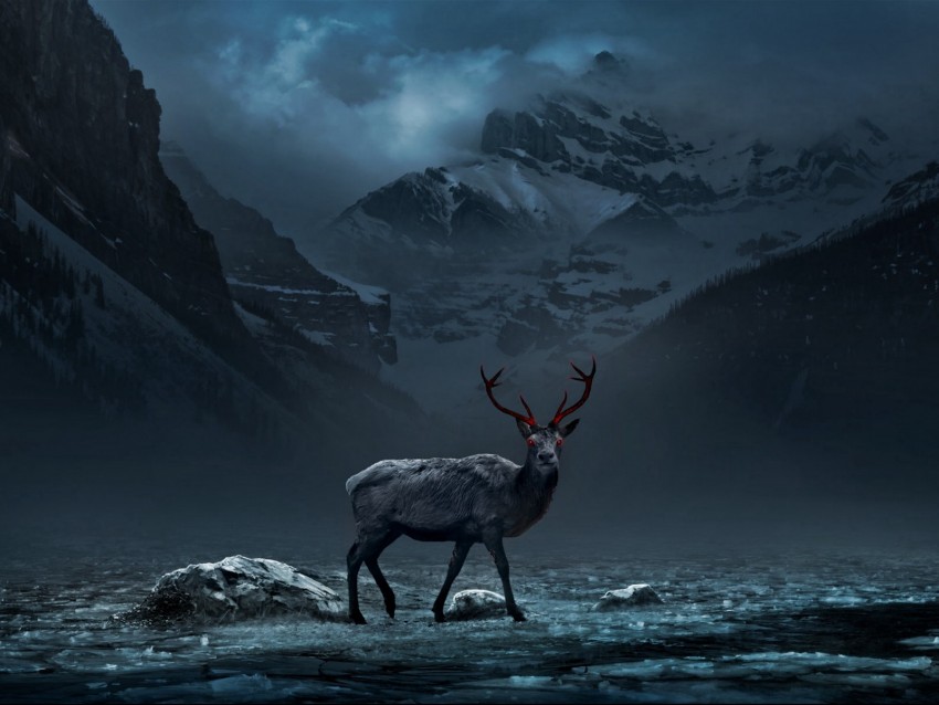 deer, mountains, art, gloomy, fog