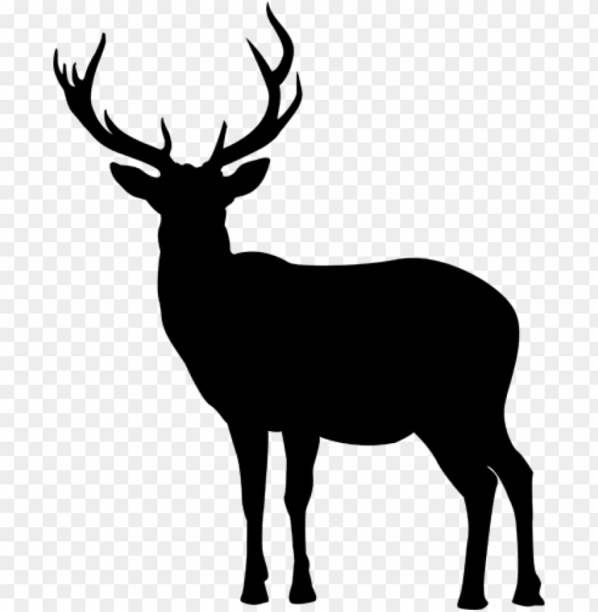 deer head, pure, illustration, clean, animal, winter, isolated