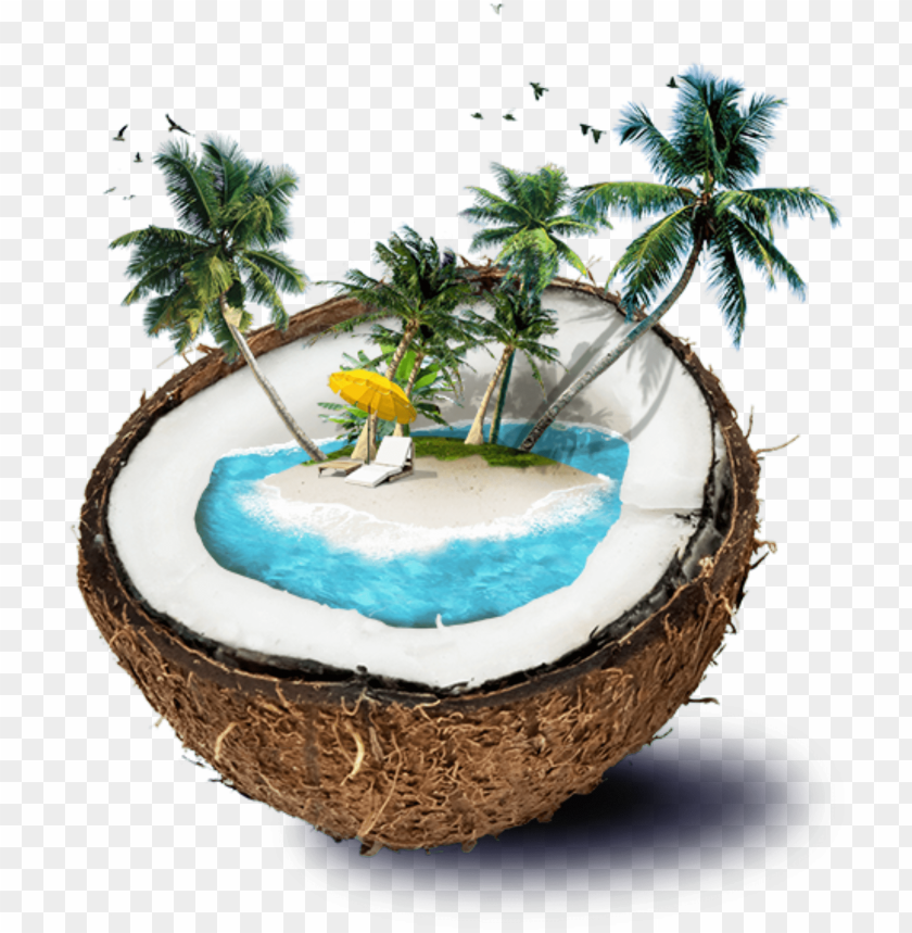 summer, beach theme, trees, set, coconut oil, sunglasses, flower