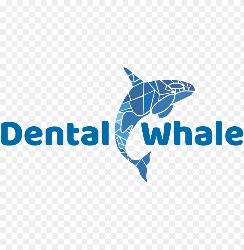 dental, whale, whale shark, blue whale, tools, construction tools